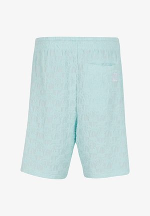 Heledad sinine kootud lühikesed püksid tekstuuriga mustriga, millel on elastne vöökoht ja üks tagatasku. Küljes on väike logomärk.