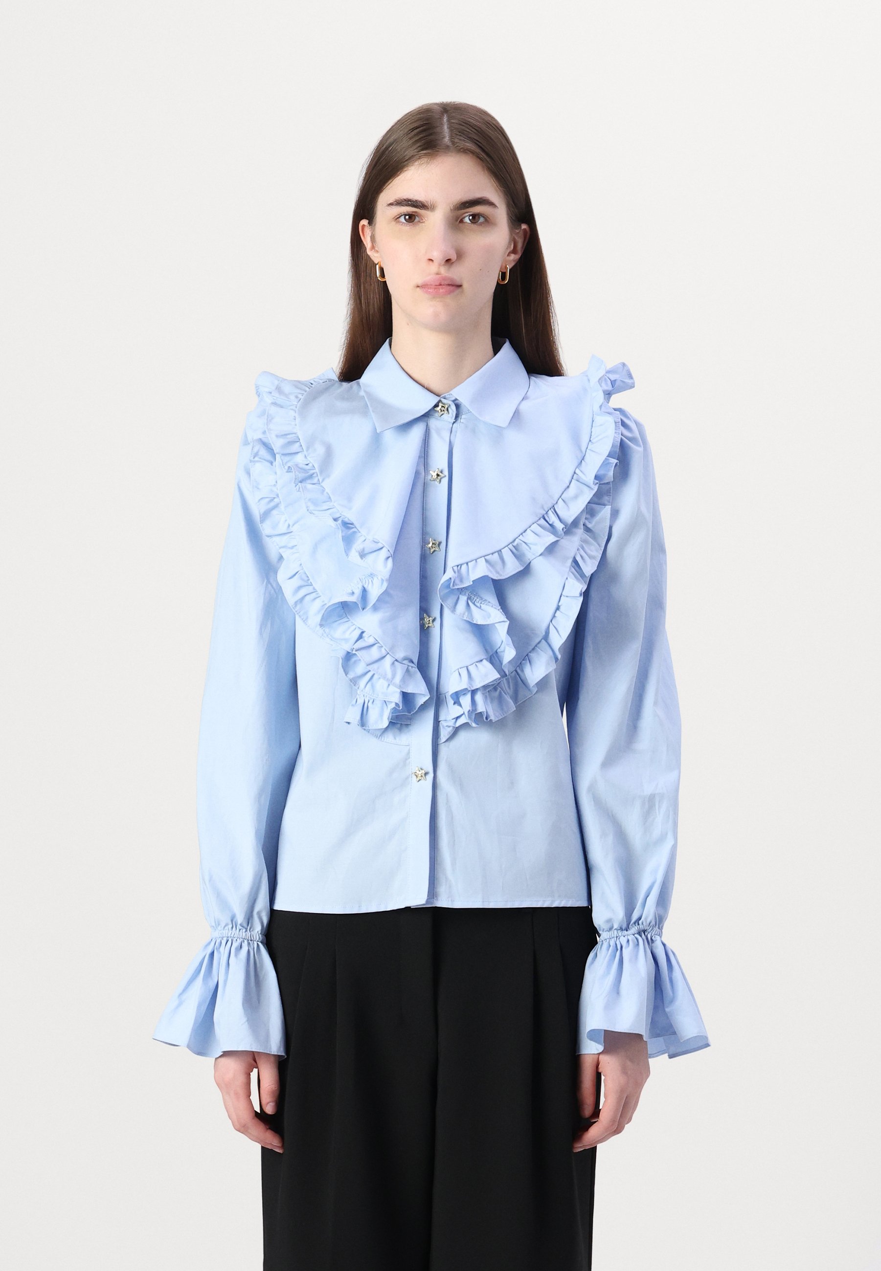 sister jane - sister jane Puff Sleeve Blouses 青 薔薇 花柄 sister jane Puff Sleeve Blouses 青 薔薇 花柄（Sister Jane