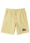 EASY DAY JOGGER YOUTH - Trainingsbroek - yellow