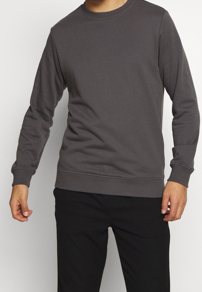Gray cotton sweatshirt with a round neckline, long sleeves, ribbed cuffs, and hem. Smooth texture, minimal design, no patterns or logos.