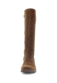 Botas de ante marrón por encima de la rodilla con un diseño elegante, puntera redondeada y una cremallera lateral. Textura suave con una suela cosida.