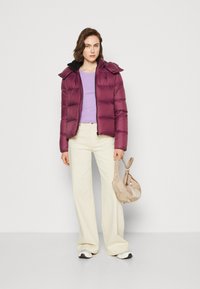 Calvin Klein Jeans ARCHETYPE SHORT PUFFER - Dūnu jaka - amaranth