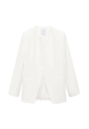 Witte blazer met een V-halsontwerp, lange mouwen, twee frontzakken en een gladde textuur. Geen zichtbare sluitingen of patronen.