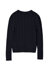 Pull bleu marine en maille torsadée avec manches longues, poignets, ourlet et encolure ronde côtelés, présenté à plat de dos.