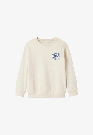 Helle beige Sweatshirt mit langen Ärmeln, gerippten Bündchen und Rundhalsausschnitt. Mit blauem Drucktext "SKATE Board BKLYN SKATE PARK".