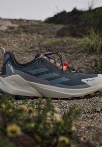 Dark green and gray Adidas Terrex Gore-Tex hiking shoe on rocky terrain with vegetation in the foreground and background.