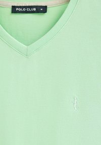 Ljust grön bomull T-shirt med V-hals och en subtil broderad logotyp på bröstet. Slät textur och normal passform. Lappen säger "POLO CLUB M."