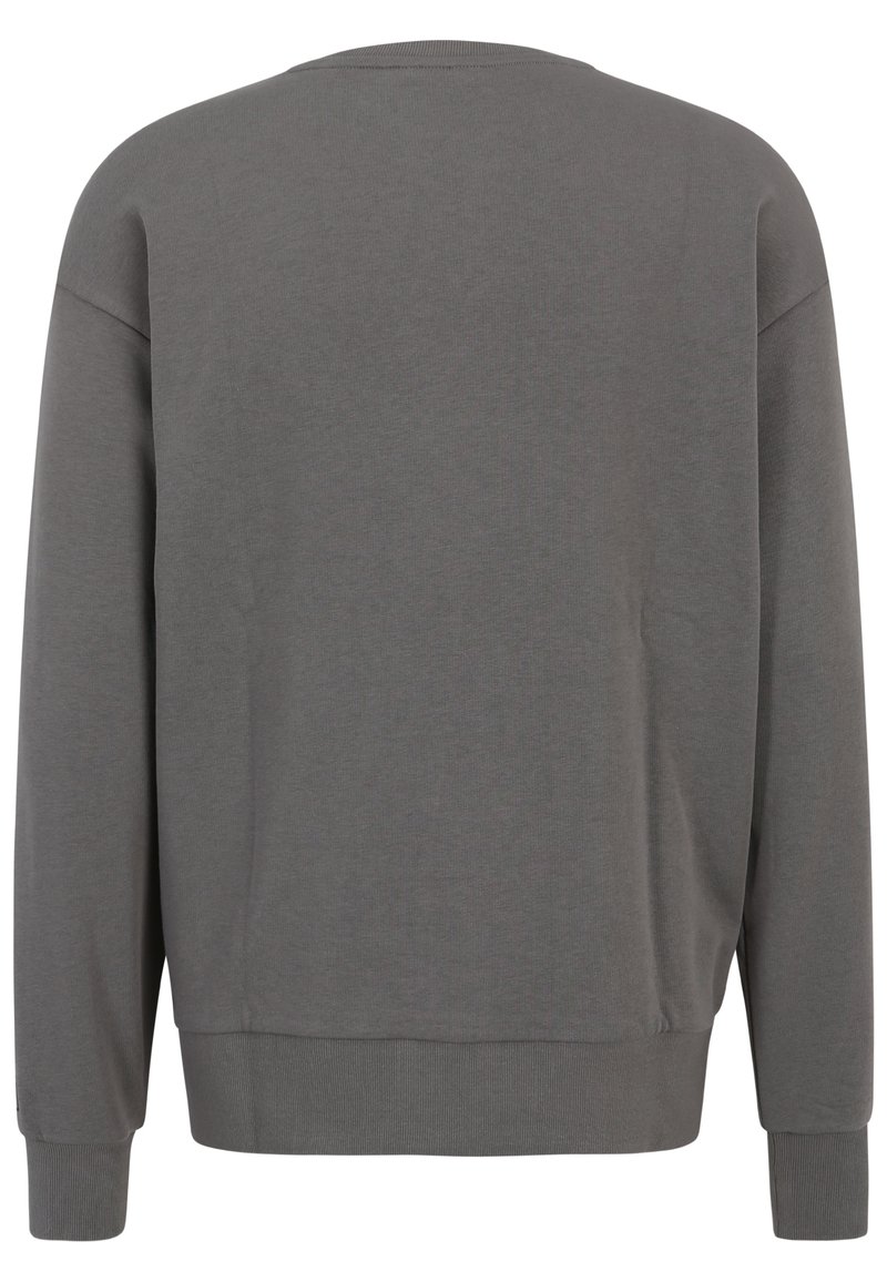 Felpa grigia con scollo rotondo, maniche lunghe e polsini e orlo a costine. Tessuto liscio senza motivi né decorazioni.