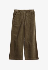 Nevybráno, green dark seagrass