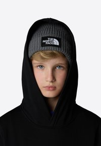 The North Face DREW PEAK HOODIE UNISEX - Sportinis megztinis - tnf black