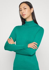 Pull à col roulé vert en matériau lisse et léger, avec des manches longues et une coupe ajustée. Pas de motifs ni de dispositifs visibles.