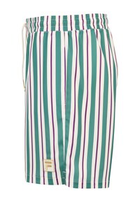 Shorts pour hommes à taille élastique avec des rayures verticales vertes, blanches et violettes, et un petit logo "F" doré près de l'ourlet.