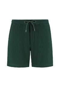 Pantaloni scurți verzi cu textură, cu un model în carouri, talie cu șnur și croială lejeră. Realizați dintr-un material ușor, potrivit pentru uzul casual.