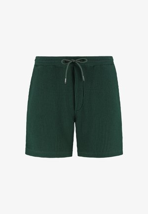 Shorts verts texturés avec un motif à carreaux, taille élastique avec cordon de serrage, et coupe décontractée. Confectionnés dans un tissu léger adapté à un usage décontracté.