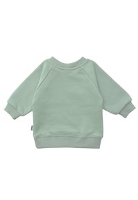 Hellgrüner Sweatshirt mit Raglanärmeln, Rundhalsausschnitt und gerippten Bündchen und Saum. Weicher Stoff mit glatter Textur.