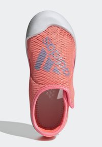 Scarpe slip-on in rete rosa con punta in gomma bianca. Presentano un marchio blu e una fodera interna liscia. Design leggero e traspirante.
