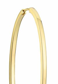 Guldtonade hängande örhängen med en slät, avlång form; har en säker gångjärnsstängning och en polerad, speglande yta.