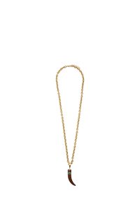 Złoty naszyjnik z łańcuszka z brązowym, zakrzywionym wisiorkiem z zielonym akcentem w postaci kamienia szlachetnego. Łańcuszek składa się z połączonych owalnych ogniw.