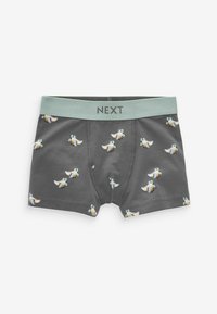 Next 10 PACK STANDARD - Panties - neutral transport print