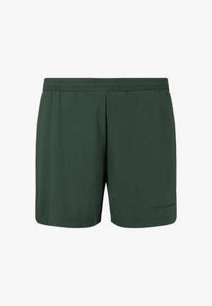 Dunkelgrüne Sportshorts mit elastischem Bund und kleinem "Endurance"-Logo am unteren linken Bein.