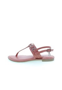 U.S. Polo Assn. Tåsandaler - canyon rose