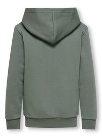 Felpa verde con un cappuccio ampio, realizzata in tessuto morbido. Presenta polsini e orlo con coste, una texture liscia e un design semplice.