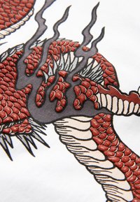 Next RELAXED FIT GRAPHIC SHORT SLEEVE SET  - Treningo apatinė dalis - white black dragon