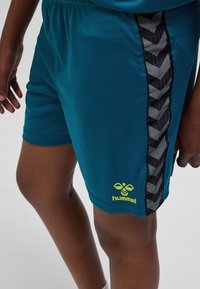 Kortbyxor i tealfärg tillverkade av lätt material med ett svart chevronmönster på sidan och en gul logotyp vid fållen. Elastisk midja.