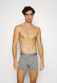 Abercrombie & Fitch ICON 5 PACK - Cuecas boxer - lifelike moose