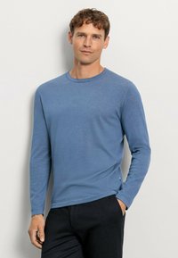 Blauses Langarmshirt aus weichem Stoff, runder Ausschnitt und leicht lockere Passform. Kombiniert mit dunklen Hosen; weist dezente Nähtedetails auf.