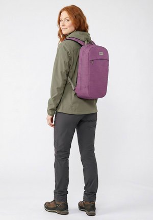 Osprey, OSPREY ARCANE DAYPACK 45 CM LAPTOPFACH - Zaino - shiso purple heather