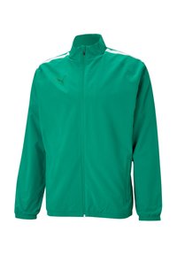Grüne leichte Jacke aus synthetischem Material, mit hohem Kragen, durchgehendem Reißverschluss, weißen Schulterstreifen und elastischen Bündchen.