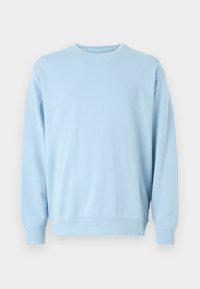 Lichtblauwe sweatshirt met lange mouwen, ronde hals, zachte stof, geribbelde manchetten en zoom, met een eenvoudig, niet versierde ontwerp.