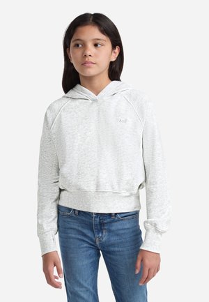 Abercrombie & Fitch ESSENTIAL - Kapuutsiga pusa - light grey heather