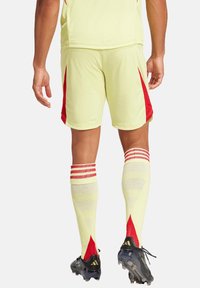 adidas Performance Kurze Sporthose - lila