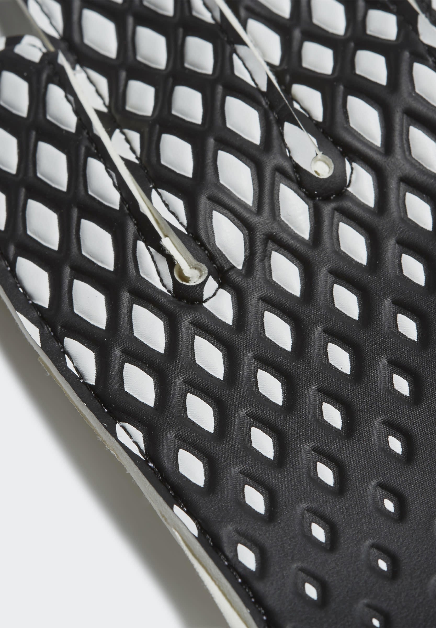 predator 20 training