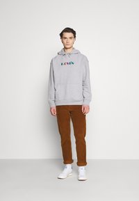 Levi's® RELAXED GRAPHIC - Sweatshirt com capuz - greys