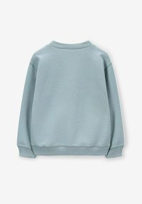 Lichtblauwe sweatshirt van zachte stof, met een ronde hals en ribgebreide manchetten. De achterkant is eenvoudig zonder graphics of extra details.