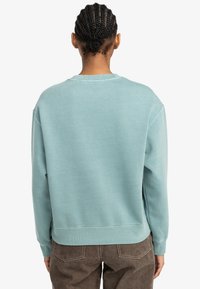 Sweat-shirt en coton bleu clair à coupe décontractée, avec poignets et ourlet côtelés. Sans motifs ni ornements visibles. Vue arrière montrant une texture lisse.