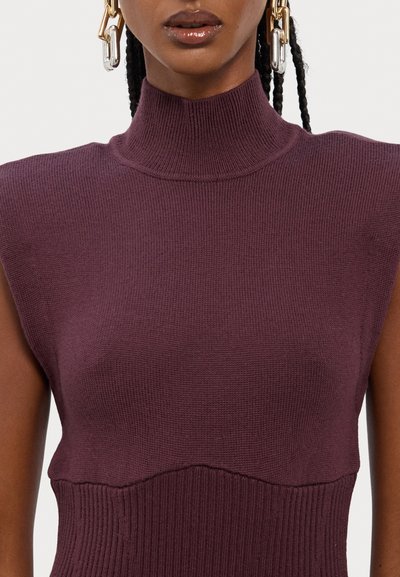Burgundy sleeveless top with high neck, ribbed texture, and subtle seam lines. Features a fitted silhouette and smooth fabric.