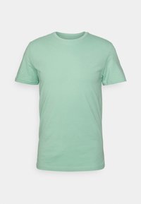 Mint green cotton t-shirt, short sleeves, crew neck, soft texture, regular fit, plain design, no additional patterns or accents.