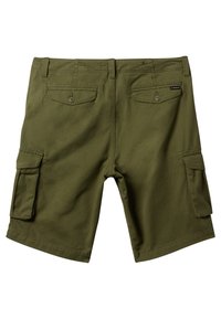 Quiksilver CRUCIAL BATTLE  - Shorts - gph