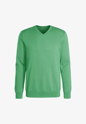Einfacher grüner Langarmpullover mit V-Ausschnitt, gerippten Bündchen und Saum, von vorne auf weißem Hintergrund dargestellt.