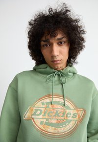 Sweatshirt verde feito de tecido macio, apresentando um grande gráfico circular com o texto "Dickies" em tons terrosos. Detalhe do capuz com cordão.