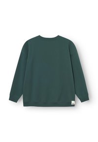 Felpa verde con collo rotondo, maniche lunghe e polsini a coste. Tessuto morbido con una superficie liscia, caratterizzata da una piccola etichetta sull'orlo.