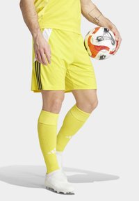 Gele voetbalshorts en bijpassende kniekousen, met zwarte strepen en witte accenten. De speler houdt een meerkleurige voetbal vast.