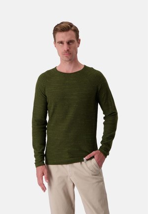 ROUNDNECK - Maglione - grün
