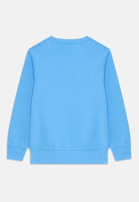 Lyseblå langermet sweatshirt med rund hals. Laget av myk tekstil, har ribbestrikkede mansjetter og nederkant, med en jevn tekstur.