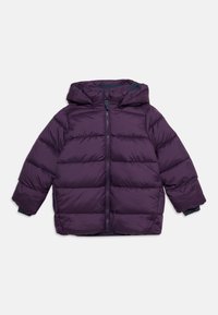 Non sélectionné, northen purple