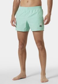 Costumi da bagno verde chiaro con cintura elastica, dotati di un logo a veliero e di un tessuto liscio e ad asciugatura rapida. Lunghezza a metà coscia.